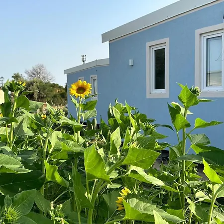 Chalet Anastasia Girasole *